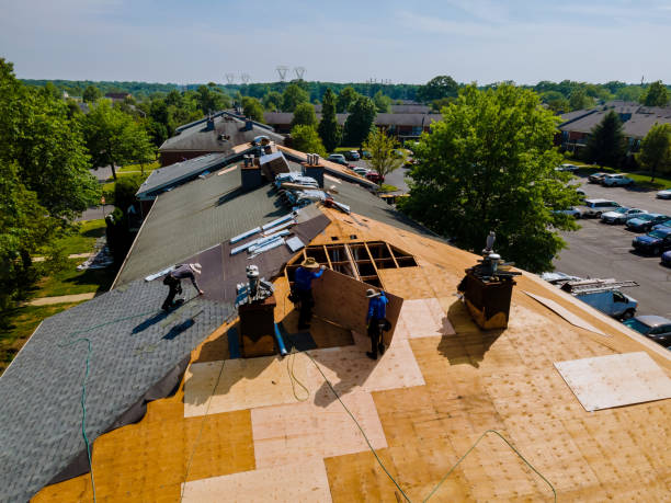 Best Flat Roof Repair Services  in Boscobel, WI