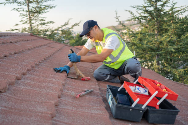Roof Gutter Cleaning in Boscobel, WI